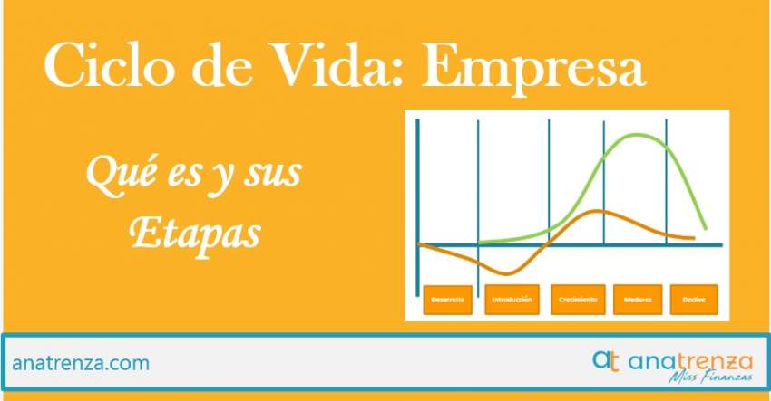 Ana Trenza - Ciclo de Vida de una Empresa: Qué es y Etapas
