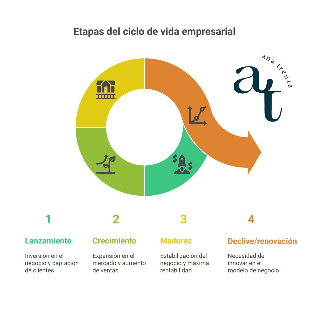 Ciclo de vida de una empresa y etapas de una empresa 2 fases ciclo de vida de una empresa