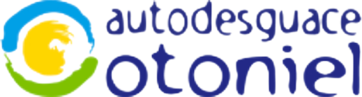 logo autodeguace otoniel