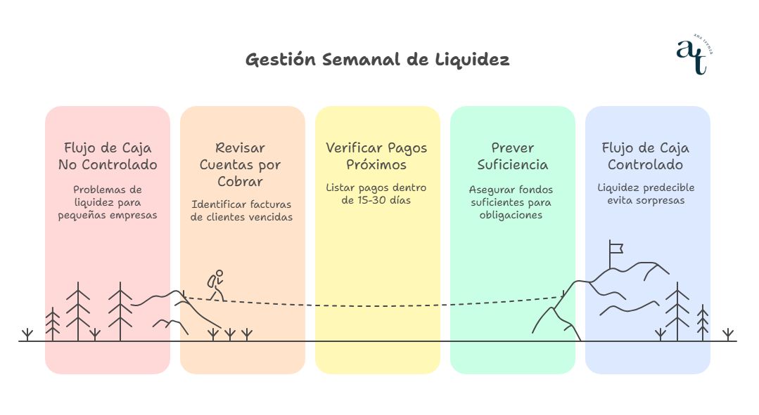 El primer sistema de control administrativo que toda pyme debe implementar 2 Control liquidez